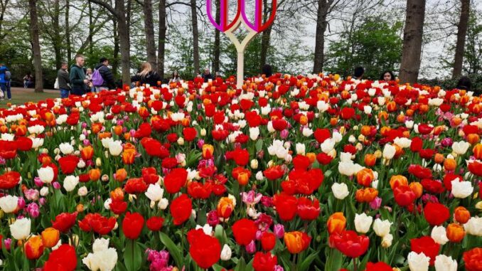 Keukenhof